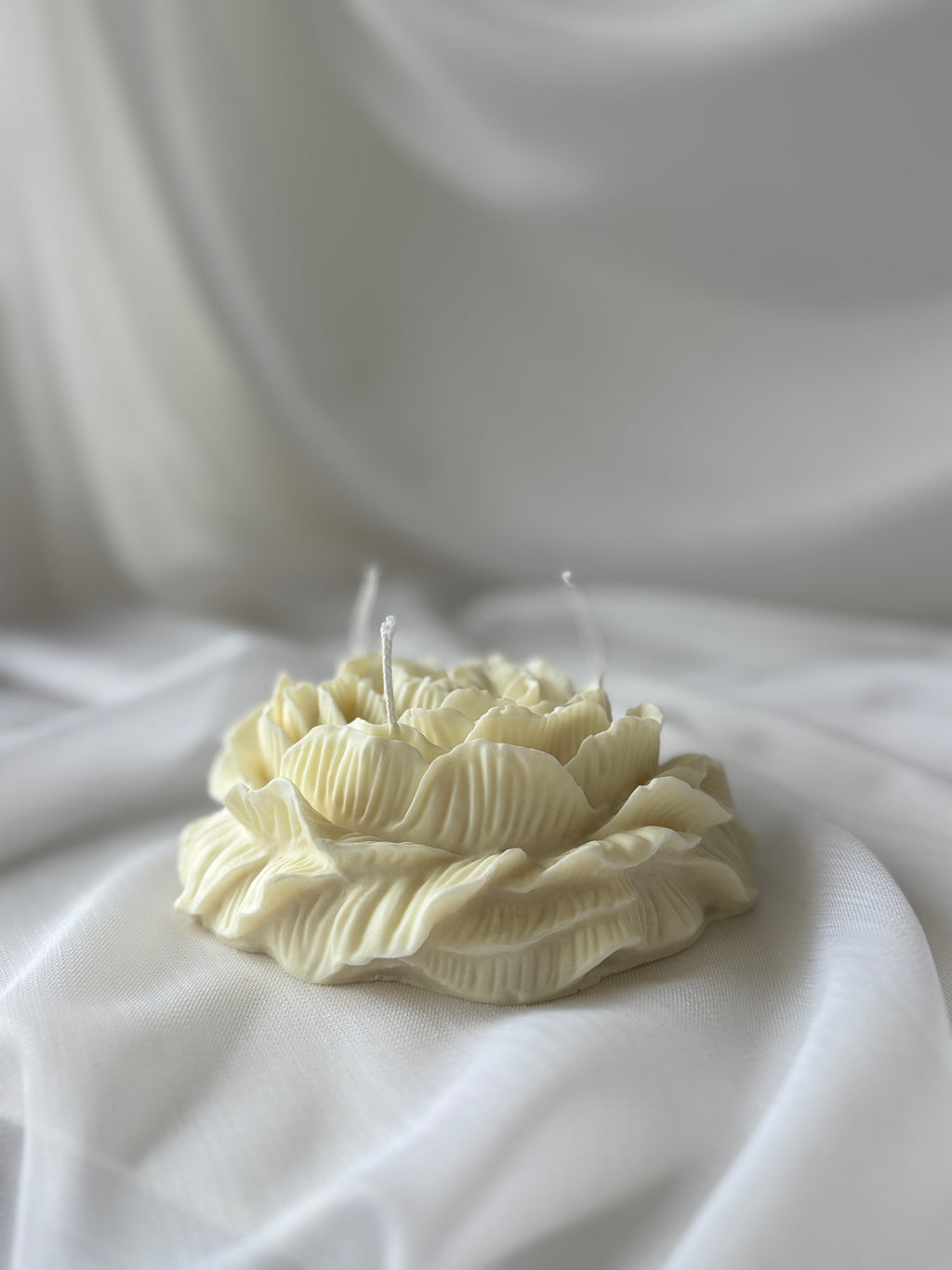 Rosen-Kerze gross weiss