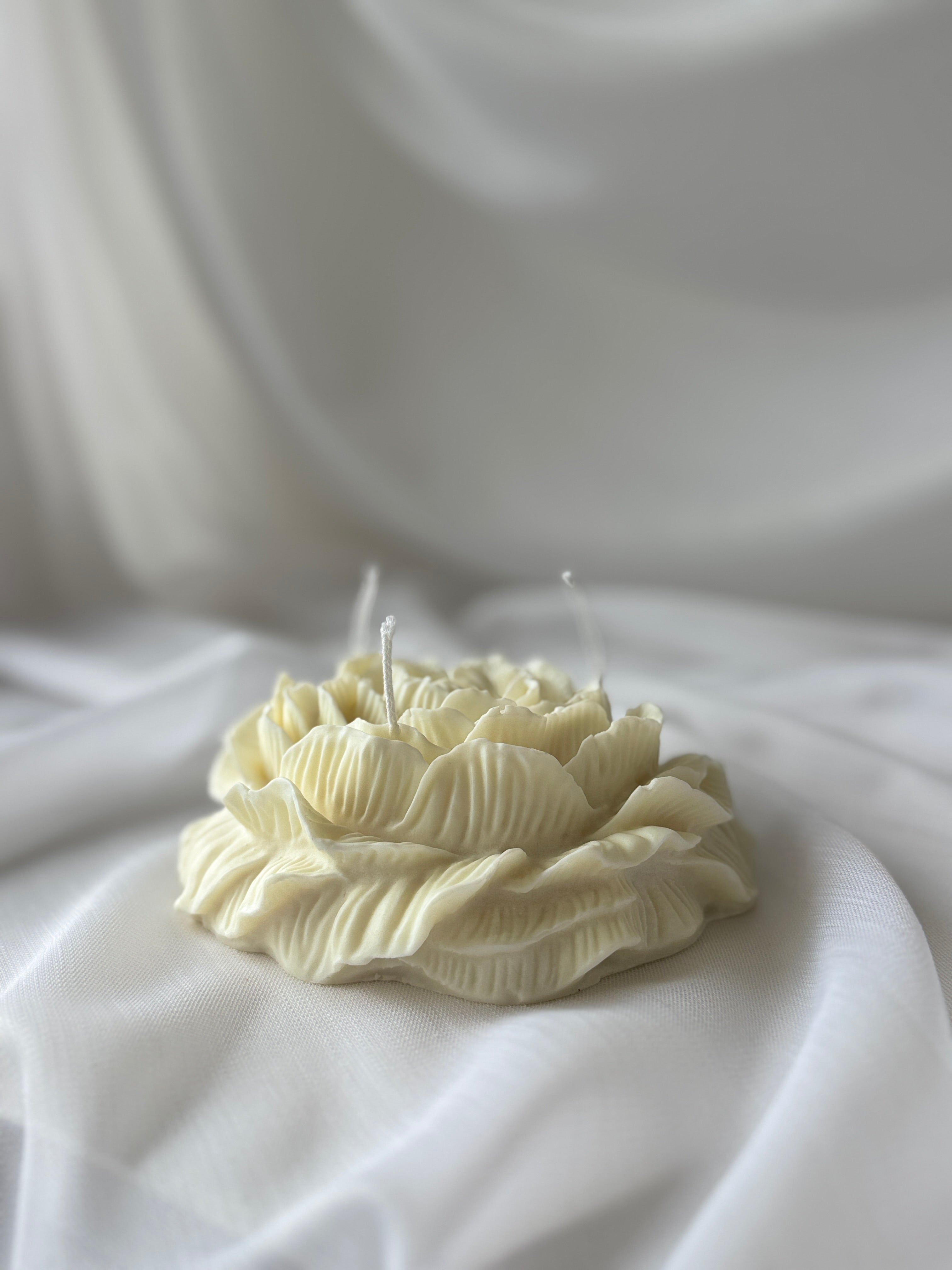 Rosen-Kerze gross weiss