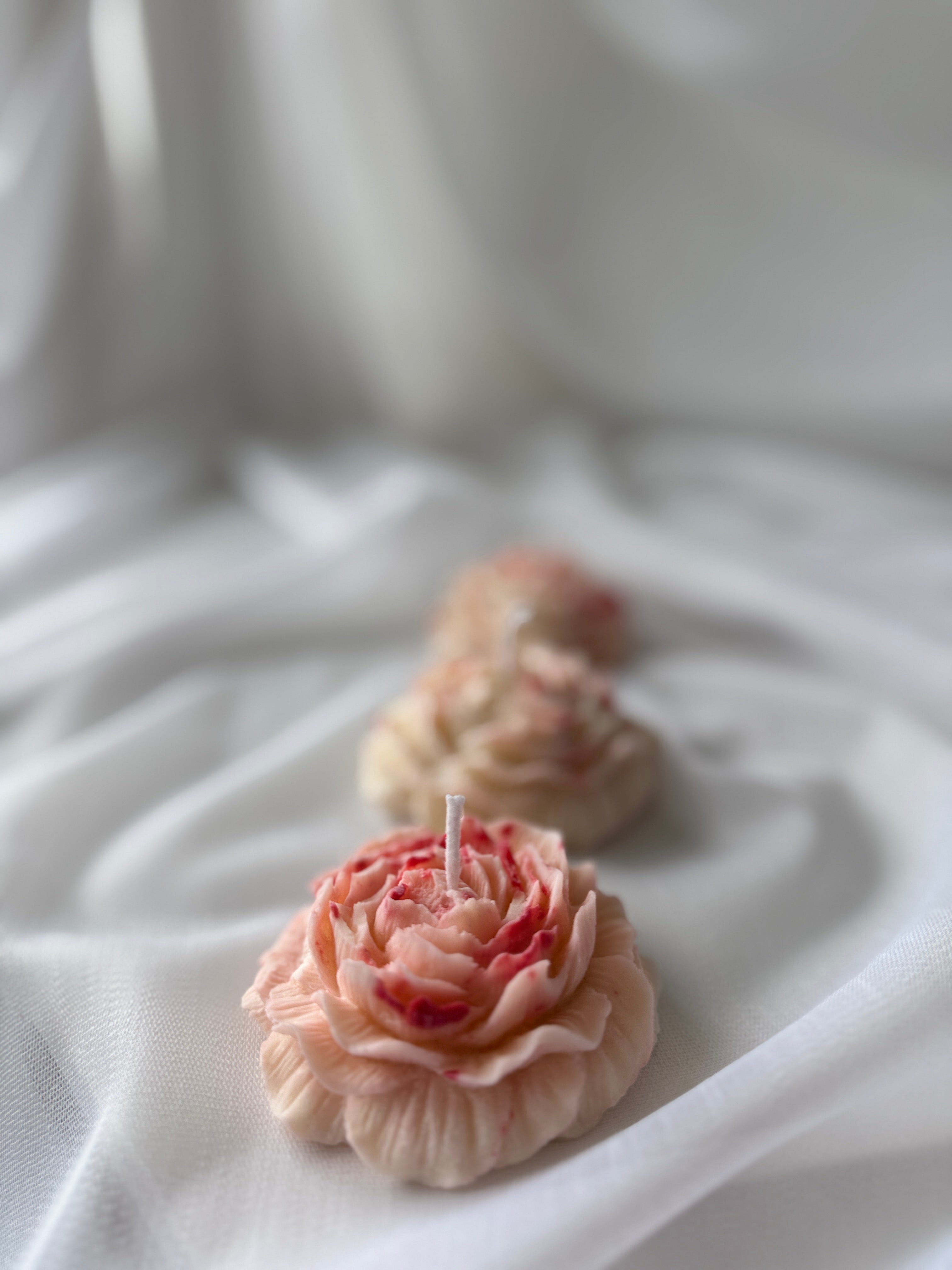 Rosen-Set in weiss/rot